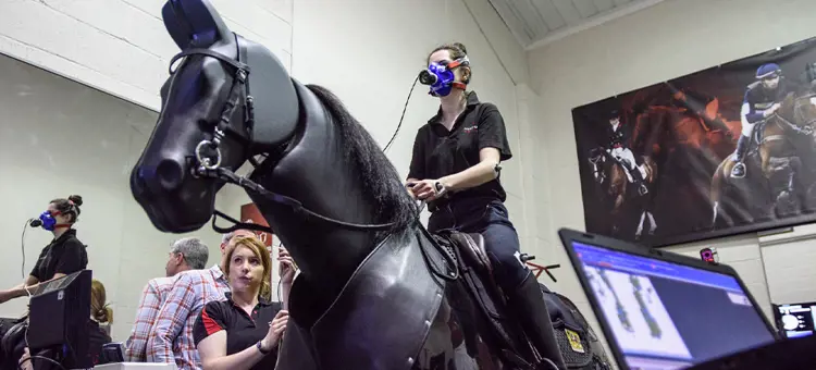 Bsc Hons Equestrian Sports Science