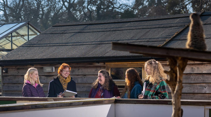 Animal Students In Walled Garden