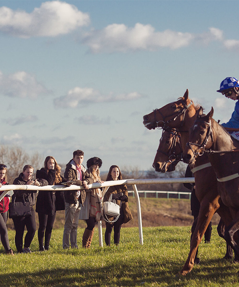 BA Hons Racehorse Performance And Rehabilitation