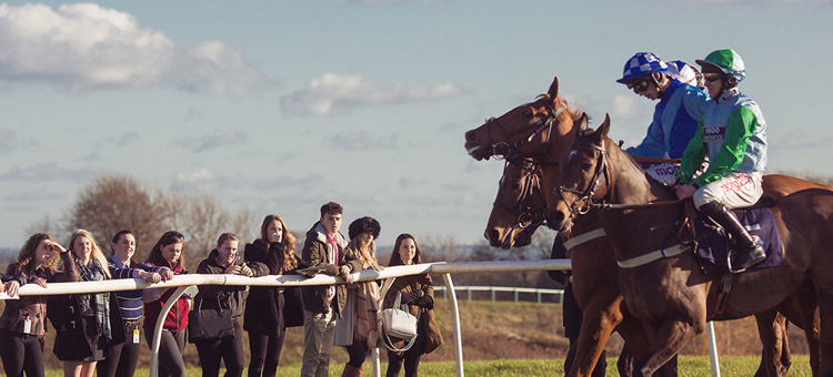 BA Hons Racehorse Performance And Rehabilitation