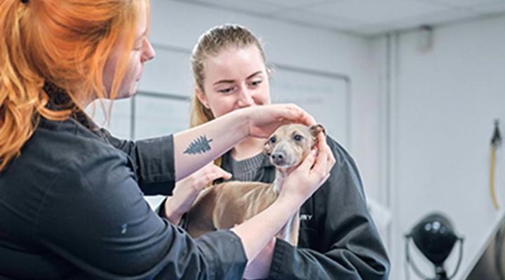 Students With Dog Cop