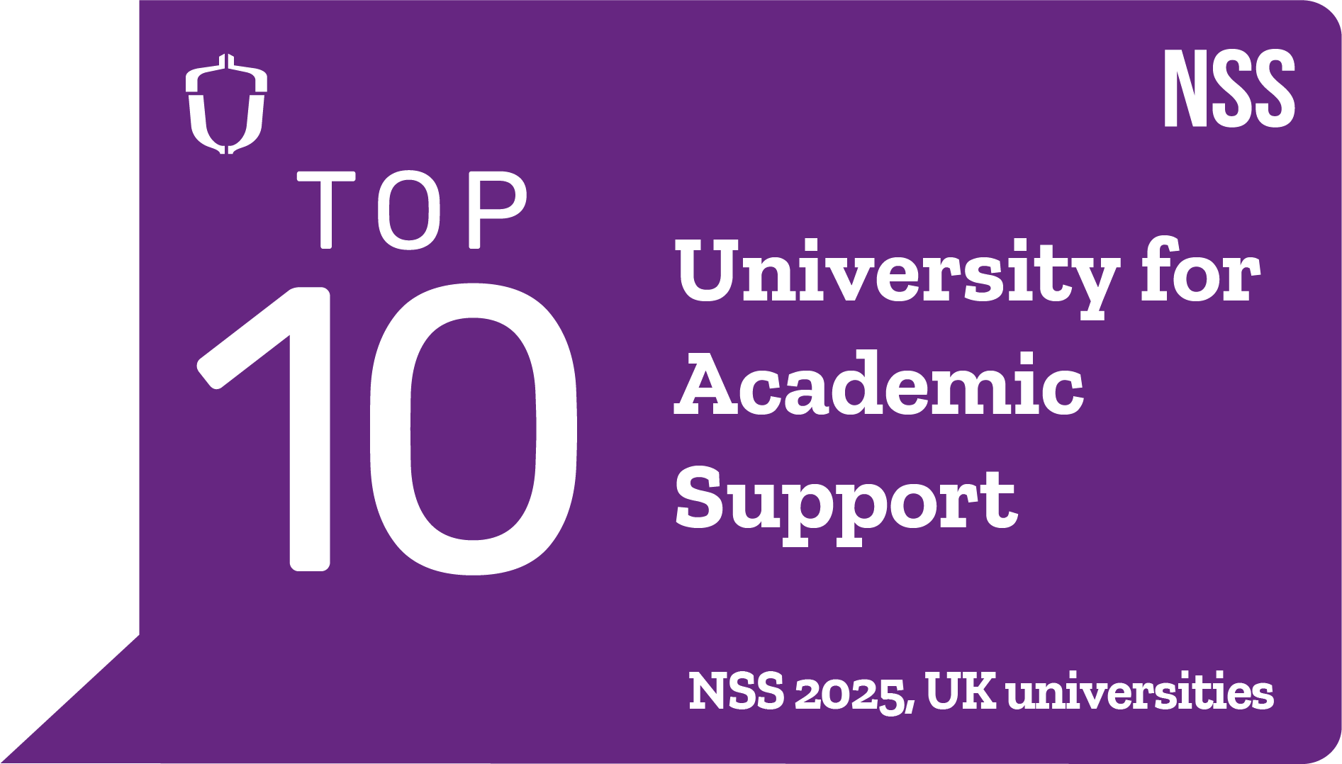 NSS 2025 TOP 10 ACADEMIC SUPPORT