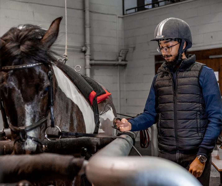 Druvpal Anchan Msci Equine Science Using High Speed Treadmill Equine Therapy Centre