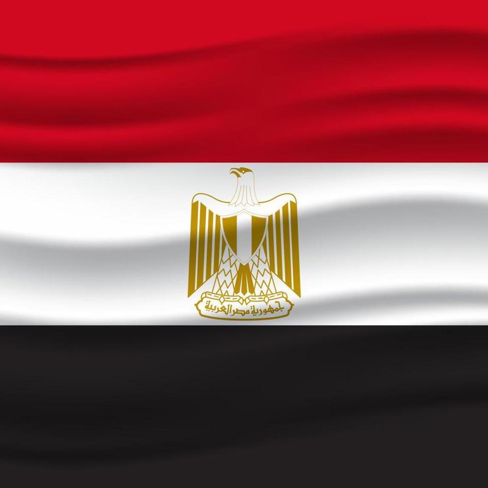 Illustration Of Waving Egypt Flag Illustration Vector