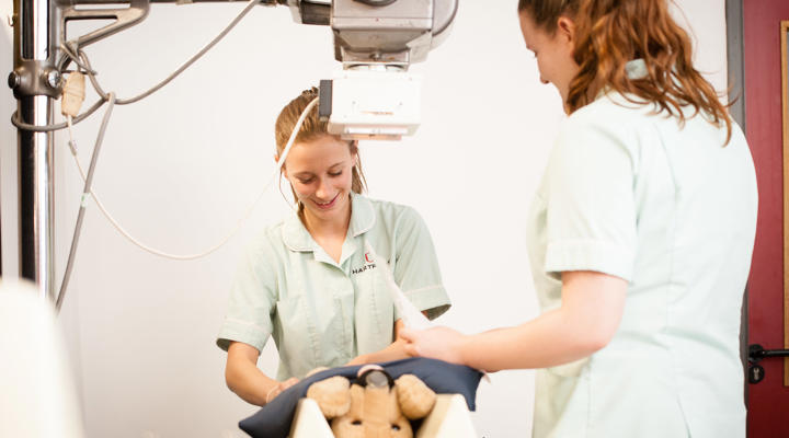 Veterinary Students Learning In Veterinary Nurse Centre With X Ray