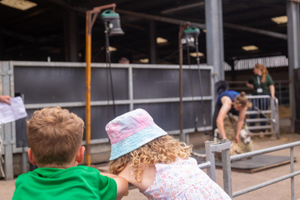 Open Farm Sunday 2023 11