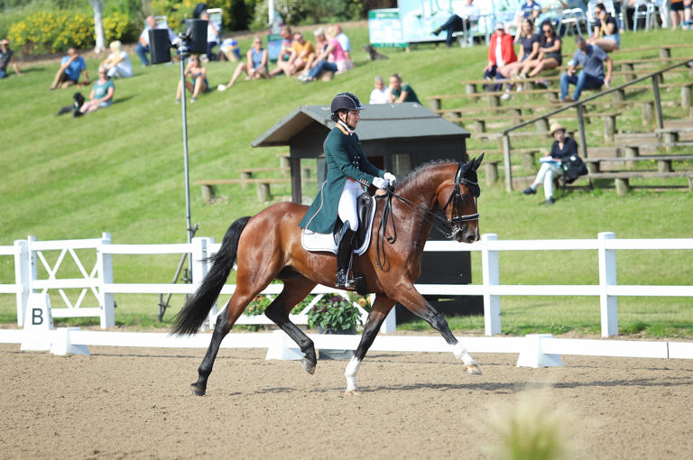 Dressage Horse And Rider Outside At Hartpury