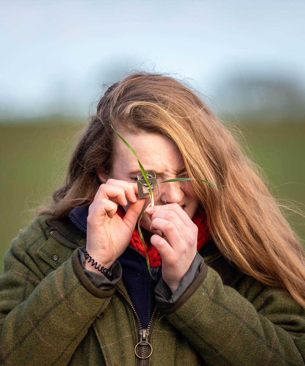 Crop Health Check