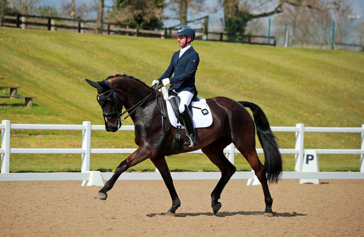British Dressage