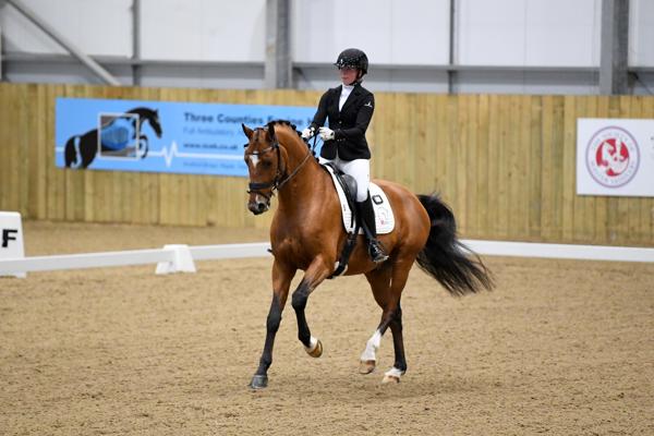 DSC 7233 DR
