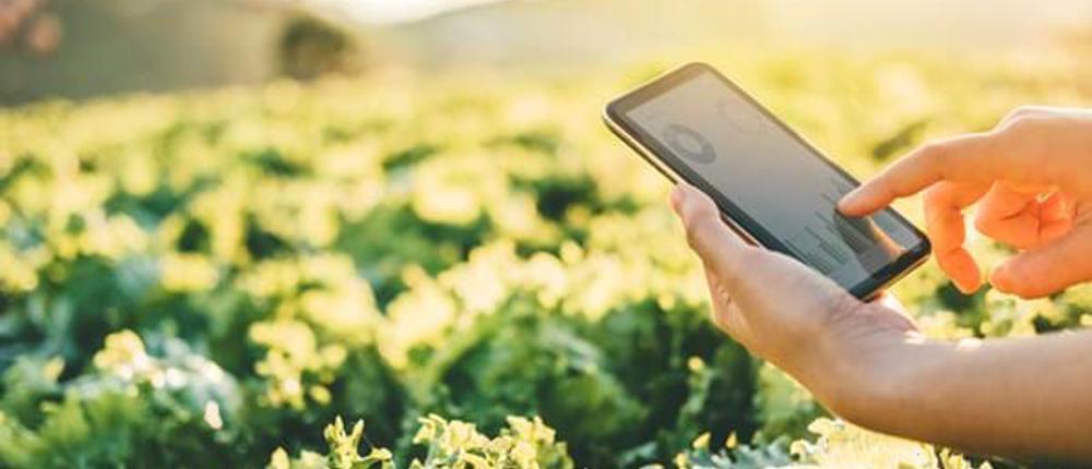 Digital-Farming