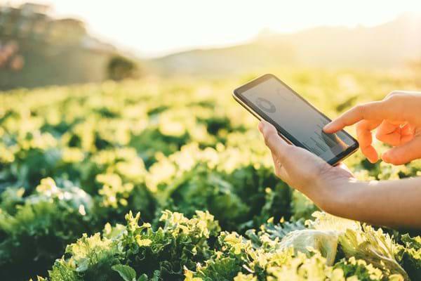 Digital-Farming