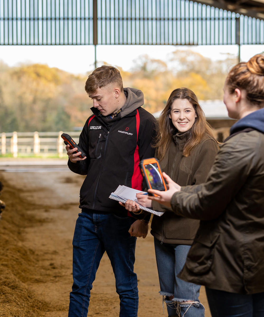 Students Using Thermal Cameras In Cow Shed