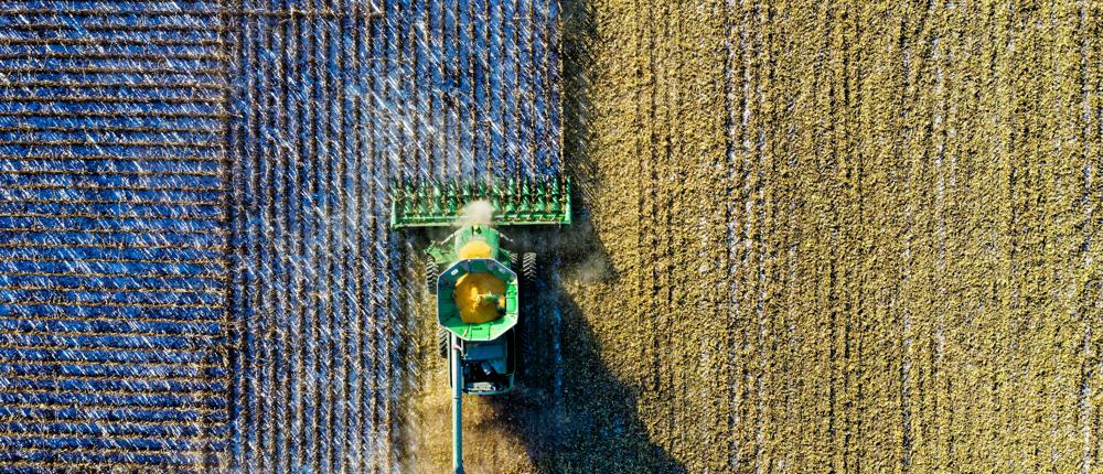 Crop Production