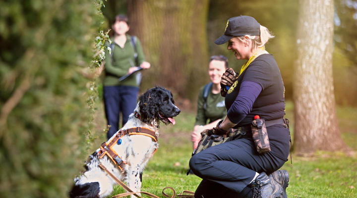 Hedgehog Conservation Hartpury Research