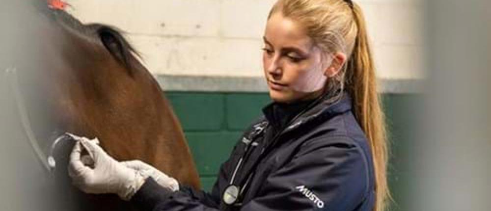 Equine-Vet-Nurse-With-Horse
