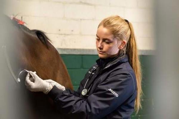 Equine-Vet-Nurse-With-Horse