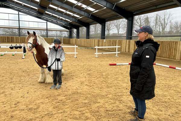 Horse-Assisted-Learning