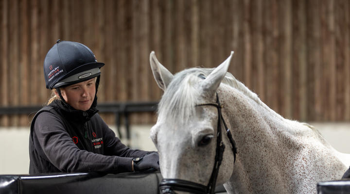 Girl Holding Grey Horse On Aqua Treadmill