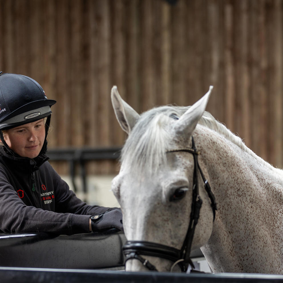 Girl Holding Grey Horse On Aqua Treadmill