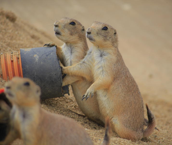 32188911888 D627b4a362 O