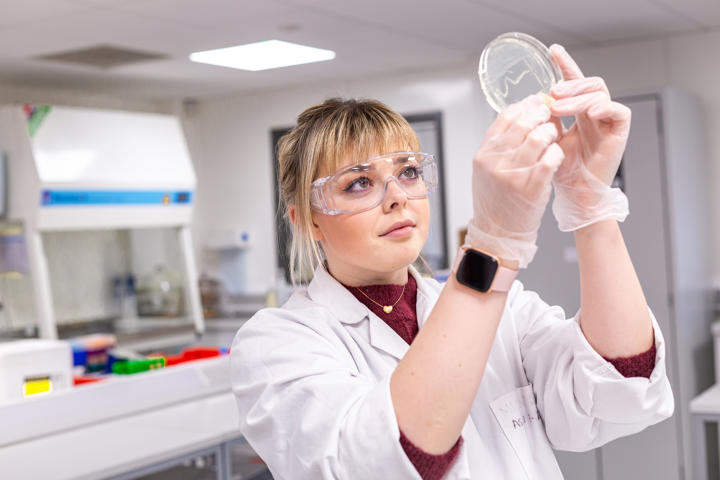 Animal Lab University