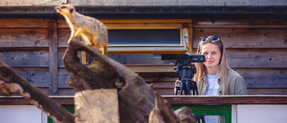 PG Animal Meerkat Research