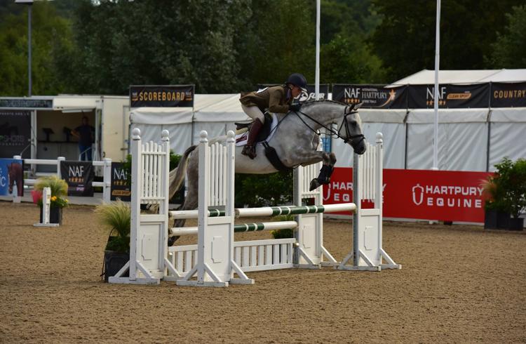 Dubarry Burghley Young Event Horse