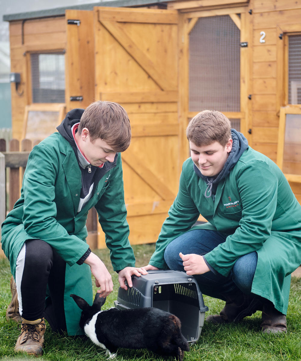 College Animal Rabbit Handling