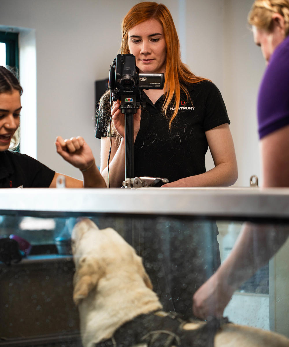 Canine Hydrotherapy Camera