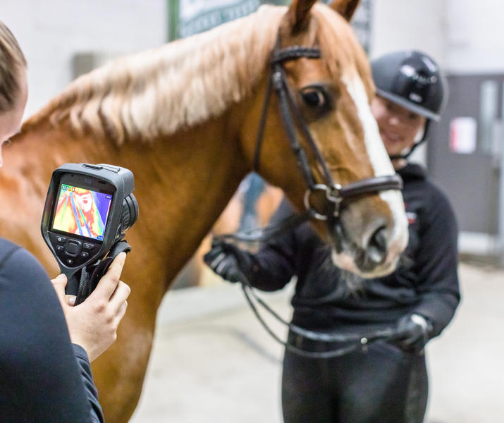 Student Using Thermal Camera On A Horse