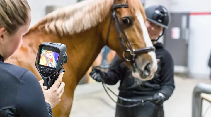 Student Using Thermal Camera On A Horse