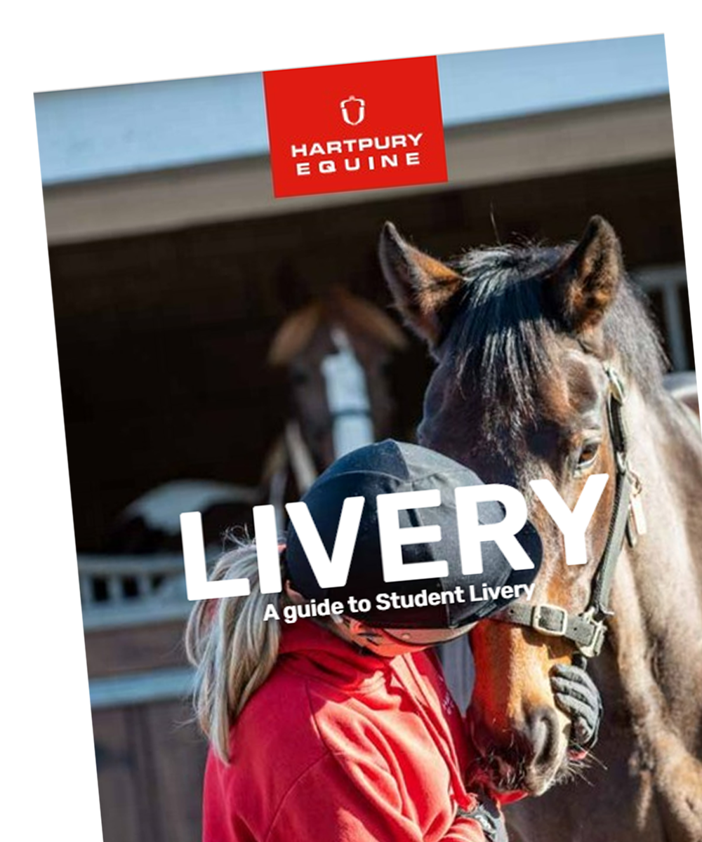 Livery Guide