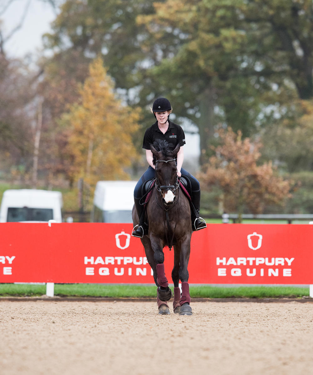 Level 3 Diploma Equine Management Equitation Riding