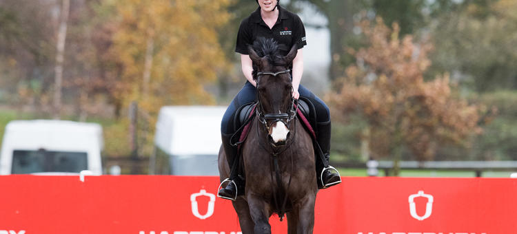 Level 3 Diploma Equine Management Equitation Riding