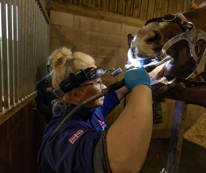 Equine Dental Science 10