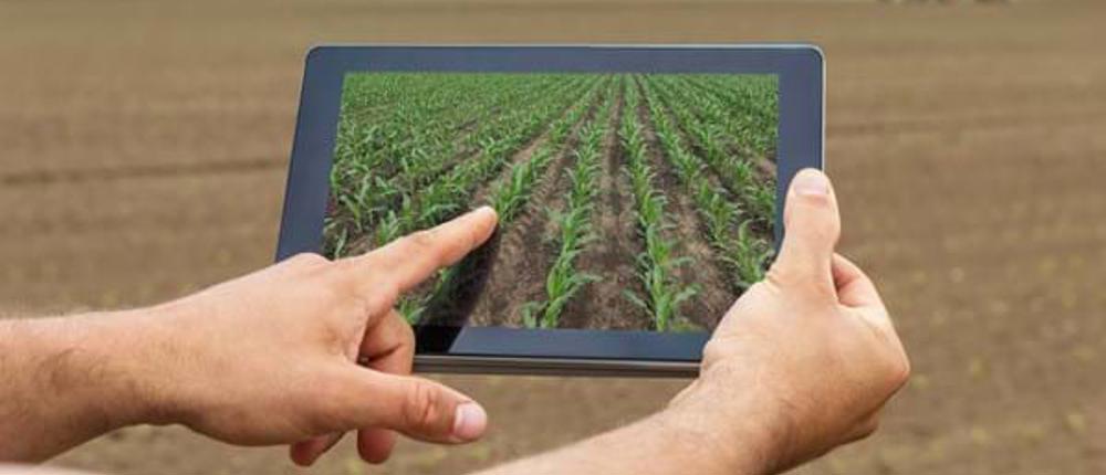 Live-Farmer-Technology