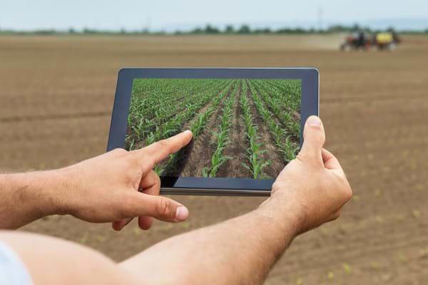 Live-Farmer-Technology