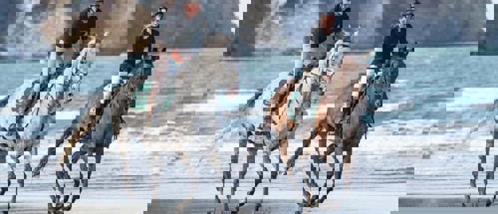 Horses-On-Beach