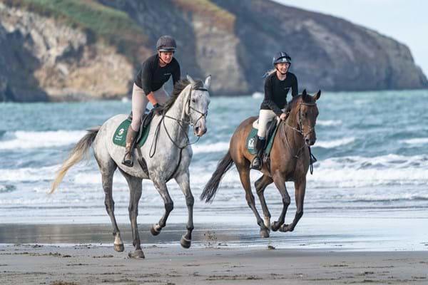 Horses-On-Beach