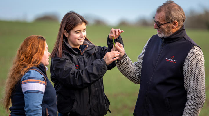 Crop Health Check University Agriculture