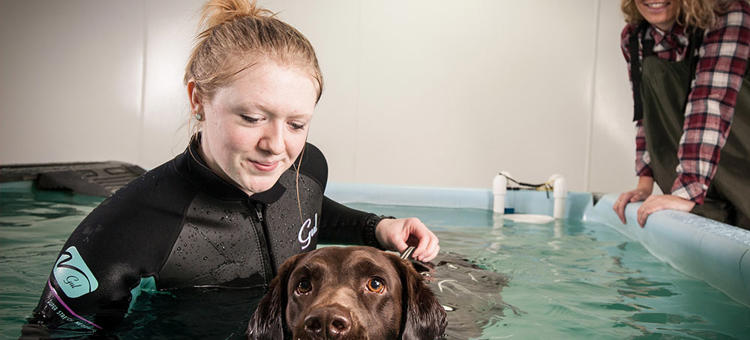 Bsc Hons Applied Animal Science With Therapy