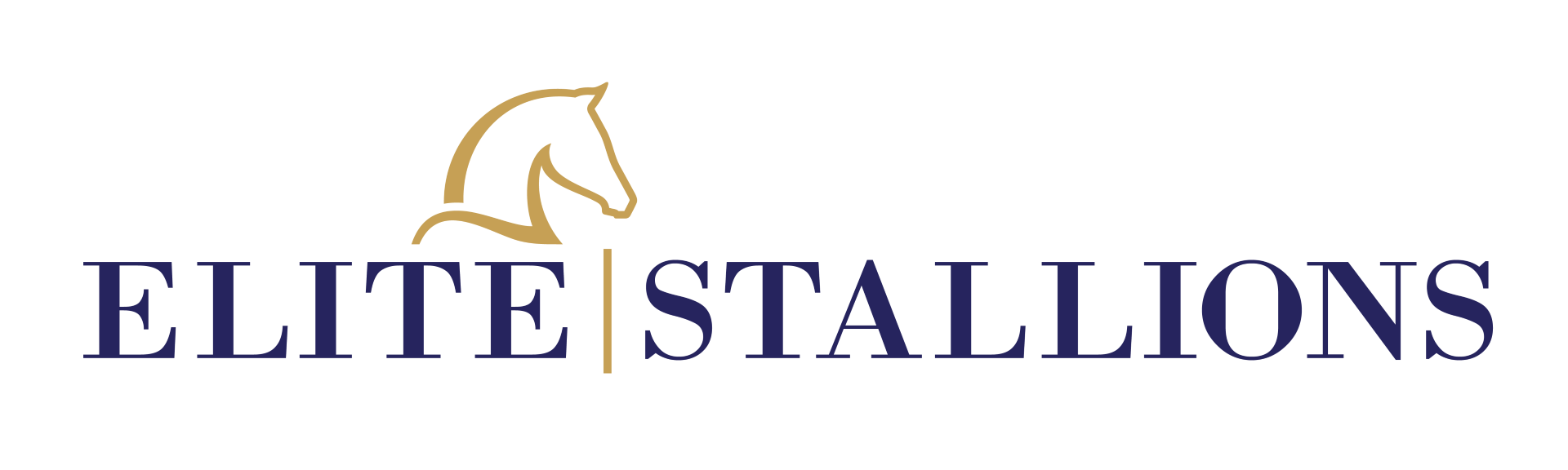 Elite Stallions 2
