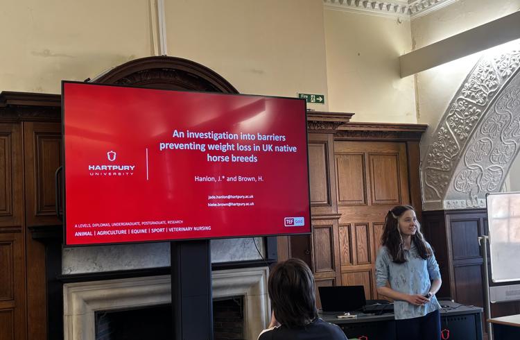 Researcher Making Presentation