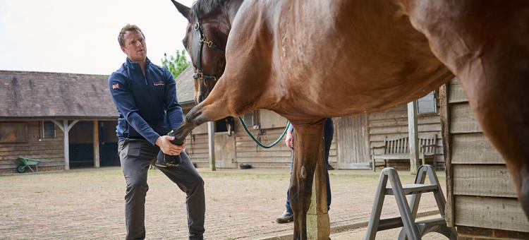 Veterinary Physiotherapy Hartpury