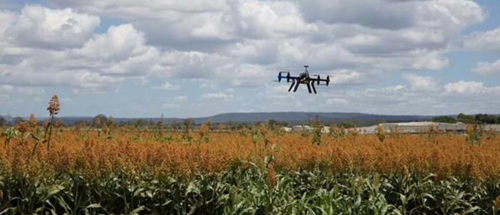 Drone-Over-Fields