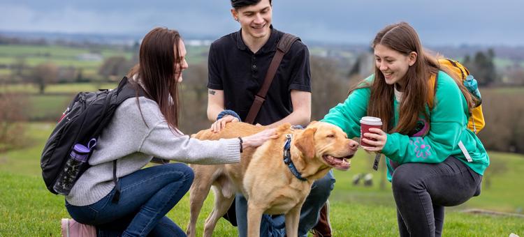 Animla Assisted Counselling Hartpury