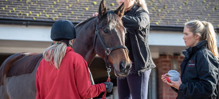 Fdsc Equine Performance Hartpury University 2024