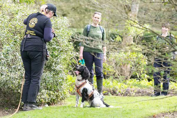 Dog Training