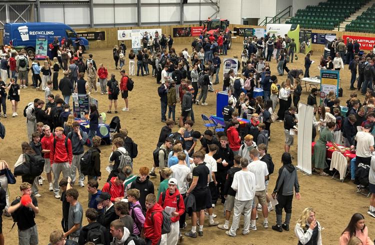 Wellfest 2026